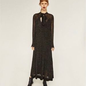 Zara Sheer Shimmer Dress
